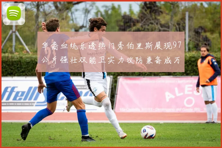 华裔血统乐透热门秀伯里斯展现97公斤强壮双能卫实力攻防兼备成万金油之选