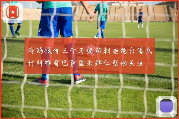 海鸥报价三千万镑热刺拒绝出售武什科维奇巴萨国米拜仁密切关注
